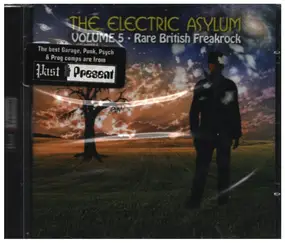 Biggles - The Electric Asylum Volume 5 (Rare British Freakrock)