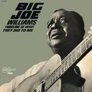 LP - Big Joe Williams - Thinking Of What They Did To Me