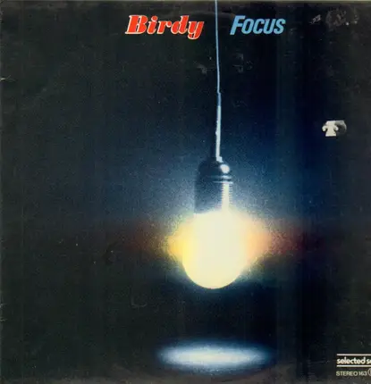 Birdy - Focus