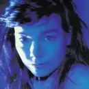 CD - Björk - Telegram