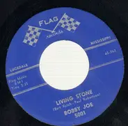 Bobby Joe - Hayfever / Living Stone
