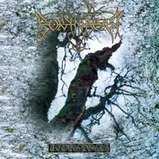 Borknagar