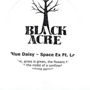 Blue Daisy - Space Ex / Fall