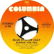 Blue Öyster Cult - Burnin' For You