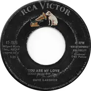 Brother Dave Gardner - Coward At The Alamo / You Are My Love