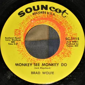 Brad Wolfe - Monkey See Monkey Do / Mary Turn Around