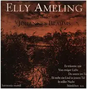 Brahms - Elly Ameling , Norman Shetler - Lieder