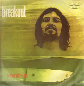 Breakout - Karate