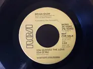 Brian Shaw - You Burned The Love (Out Of Me)