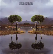 Bruce Dickinson - Skunkworks