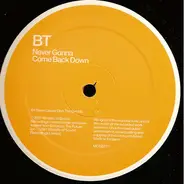 BT - Never Gonna Come Back Down