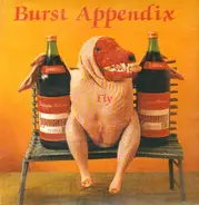 Burst Appendix - Fly