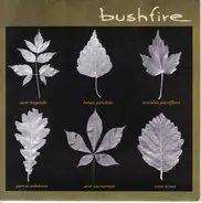 Bushfire - Bushfire