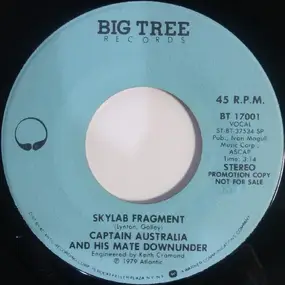 PT - Skylab Fragment