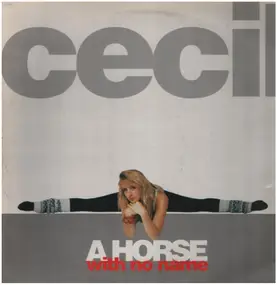 Cecil - A Horse With No Name