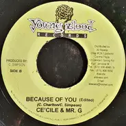 Ce'cile & Mr. G - Because Of You