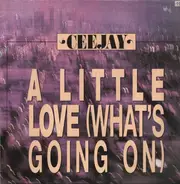 Ceejay - A Little Love (What's Going On)