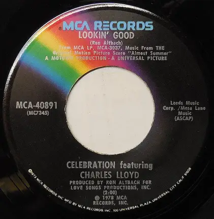 Celebration Featuring Mike Love - Almost Summer