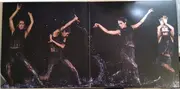 Double LP - Céline Dion - Courage - Ruby Red Vinyl +16-Page Booklet