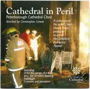 Choir Of Peterborough Cathedral, Christopher Gower - Cathedral In Peril
