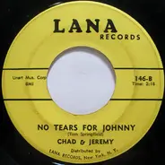 Chad & Jeremy - A Summer Song / No Tears For Johnny