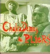 Chaka Demus & Pliers