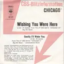 7inch Vinyl Single - Chicago - Wishing You Were Here - Trade Sample