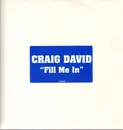 12inch Vinyl Single - Craig David - Fill Me In - Promo