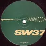 Damon Wild - SW37