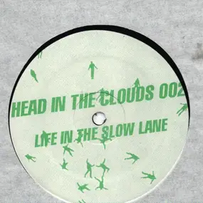 Damon Wild - Life In The Slow Lane