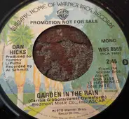 Dan Hicks - Garden In The Rain