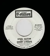 Danny O'Keefe - Country Song / Steel Guitar