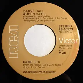 Daryl Hall & John Oates - Camellia
