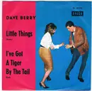 7inch Vinyl Single - Dave Berry - Little Things