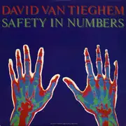 LP - David Van Tieghem - Safety In Numbers - Still Sealed