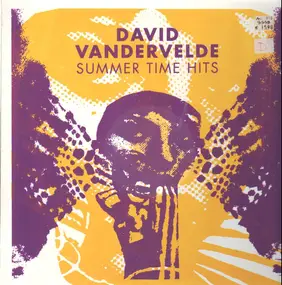 David Vandervelde - Summer Time Hits