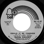 David Cassidy - Could It Be Forever