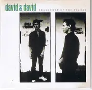 7inch Vinyl Single - David + David - Swallowed By The Cracks