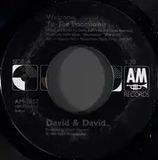 7inch Vinyl Single - David + David - Welcome To The Boomtown