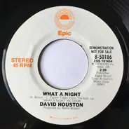 David Houston - What a Night