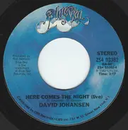 David Johansen - Melody / Here Comes The Night (Live)
