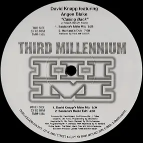 David Knapp - Calling Back