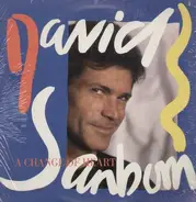 David Sanborn - Change of the Heart