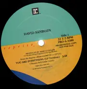 David Sanborn - You Are Everything