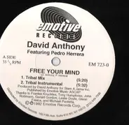 David Anthony Featuring Pedro Herrera - Free Your Mind