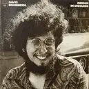 LP - David Bromberg - Demon In Disguise