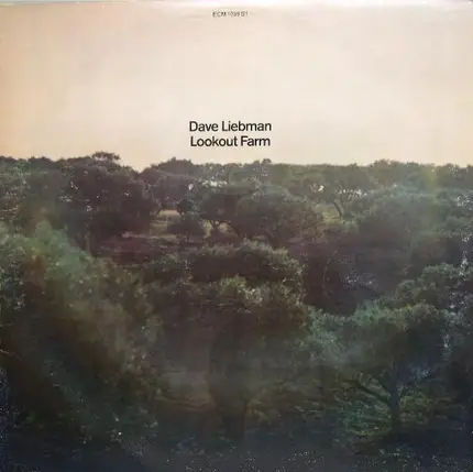 David Liebman - Lookout Farm