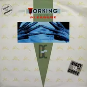 12inch Vinyl Single - Deadly Ernest - Working For The Pleasure