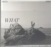 CD - delta spirit - What Is There - Digisleeve