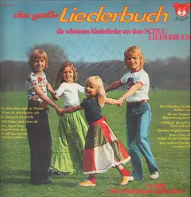 Der Hamburger Kinderchor - Das Große Liederbuch